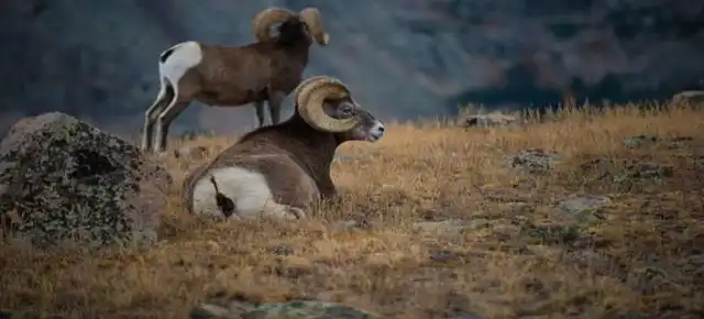 Rocky Mountain National Park
