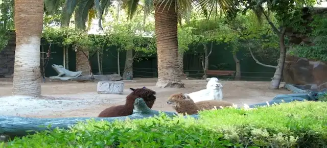 Siegfried and Roy Secret Garden