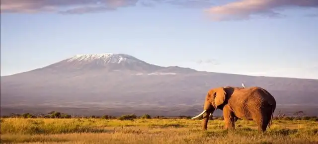 Climb the highest mountain