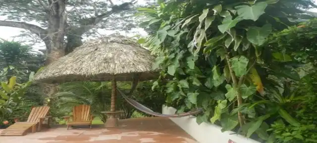 Jungle Survival Course