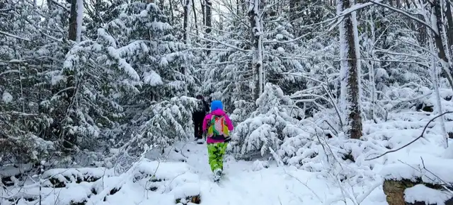 Bruce Trail Bruce Trail