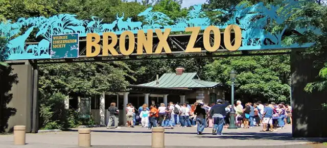 The Bronx Zoo