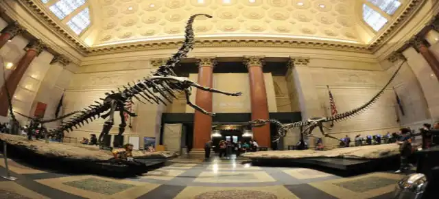 American Museum of National History