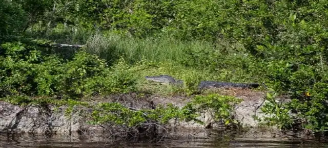 Everglades National Park